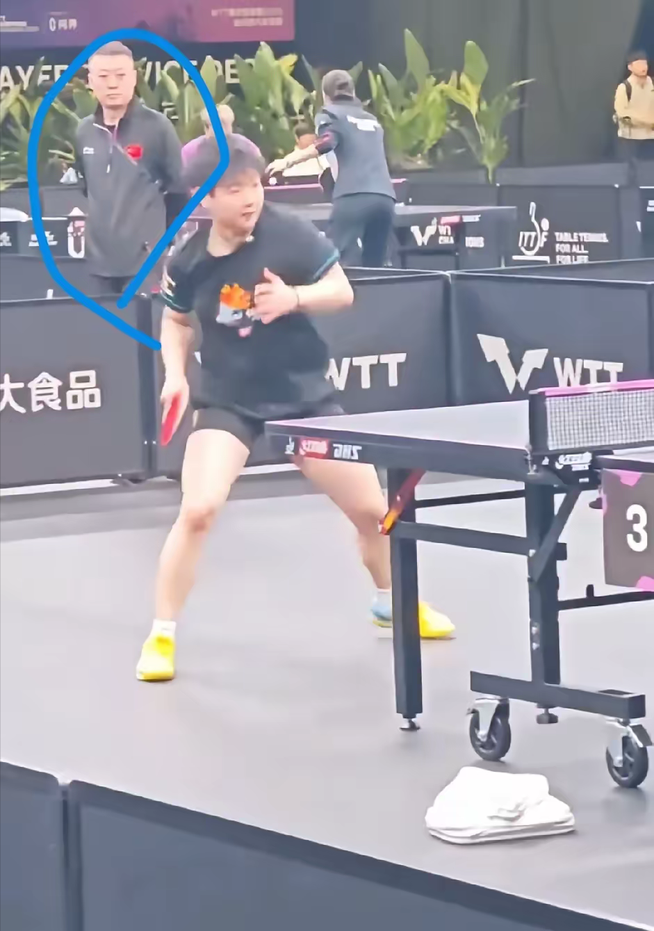 法国羽毛球队爆冷日本羽毛球队，马琳高光表现的简单介绍