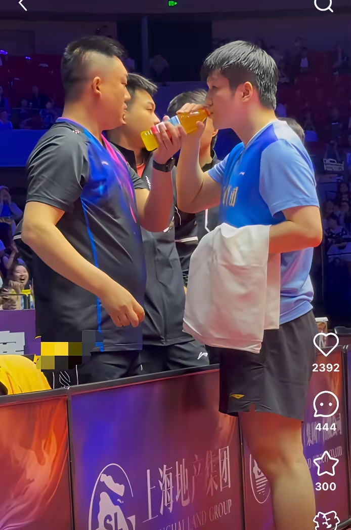 法国乒乓球队碾压韩国乒乓球队，樊振东制霸全场的简单介绍