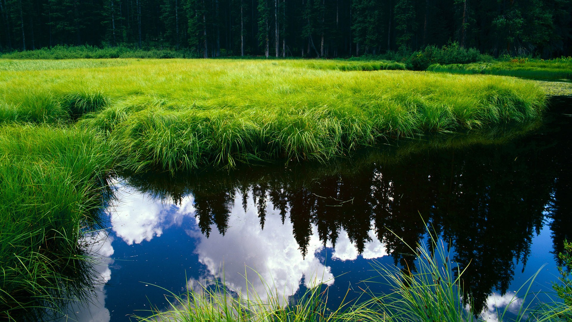 pg电子模拟器试玩在线-移民街区里的西甲国家德比，爱德华兹的冠军级救赎