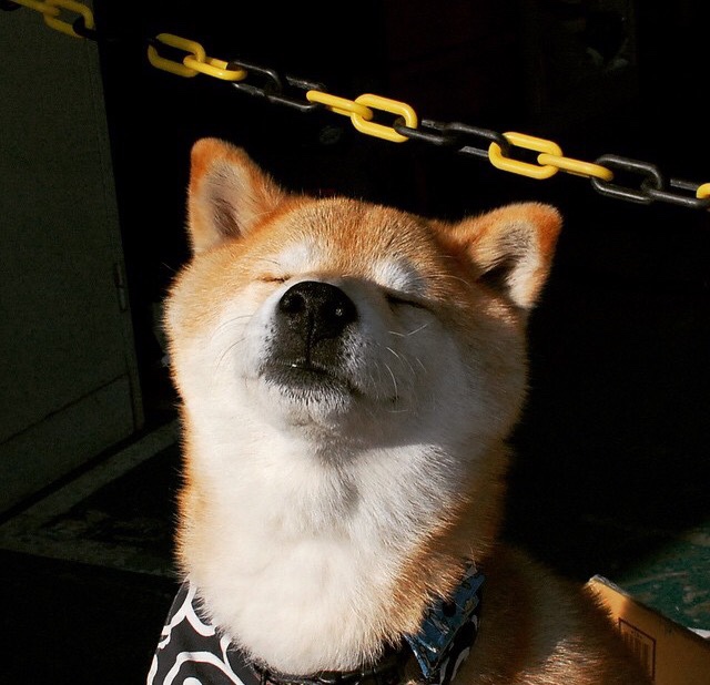 赛道上的篮坛飞人，英格拉姆率鹈鹕关键战突围奇才