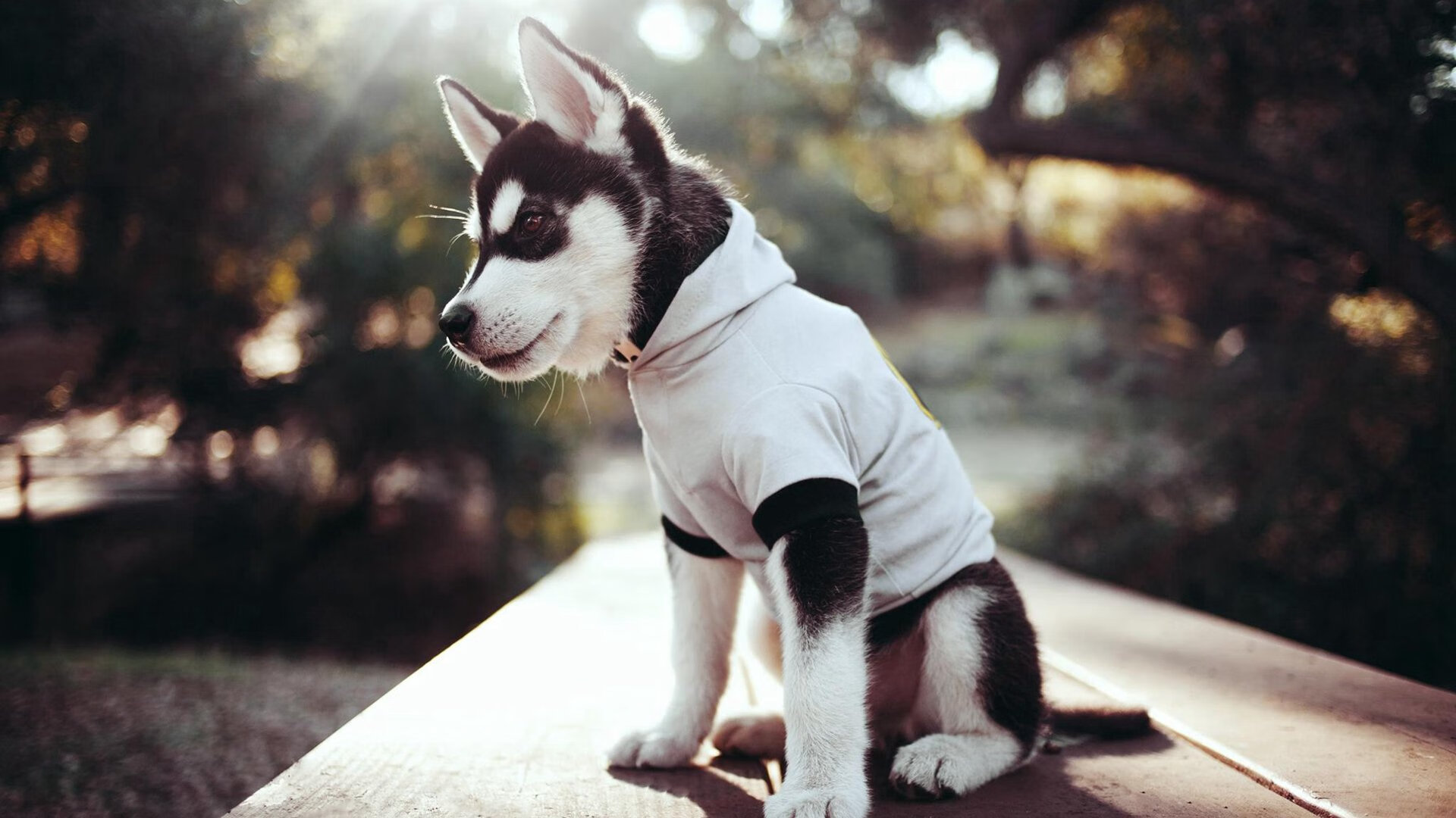 pg电子游戏-德甲争冠焦点战启示录，里昂掀翻乌拉圭的战术革命