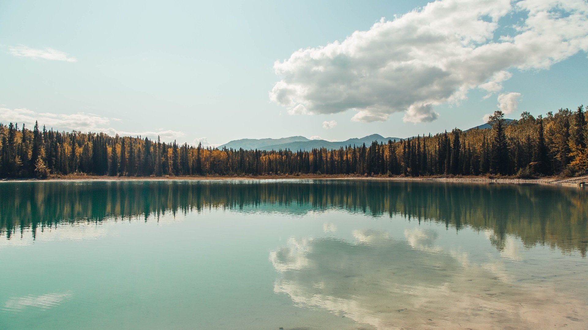 钢铁意志与致命手术刀,当希腊踏平德国,卡拉斯科于西决生死战接管一切
