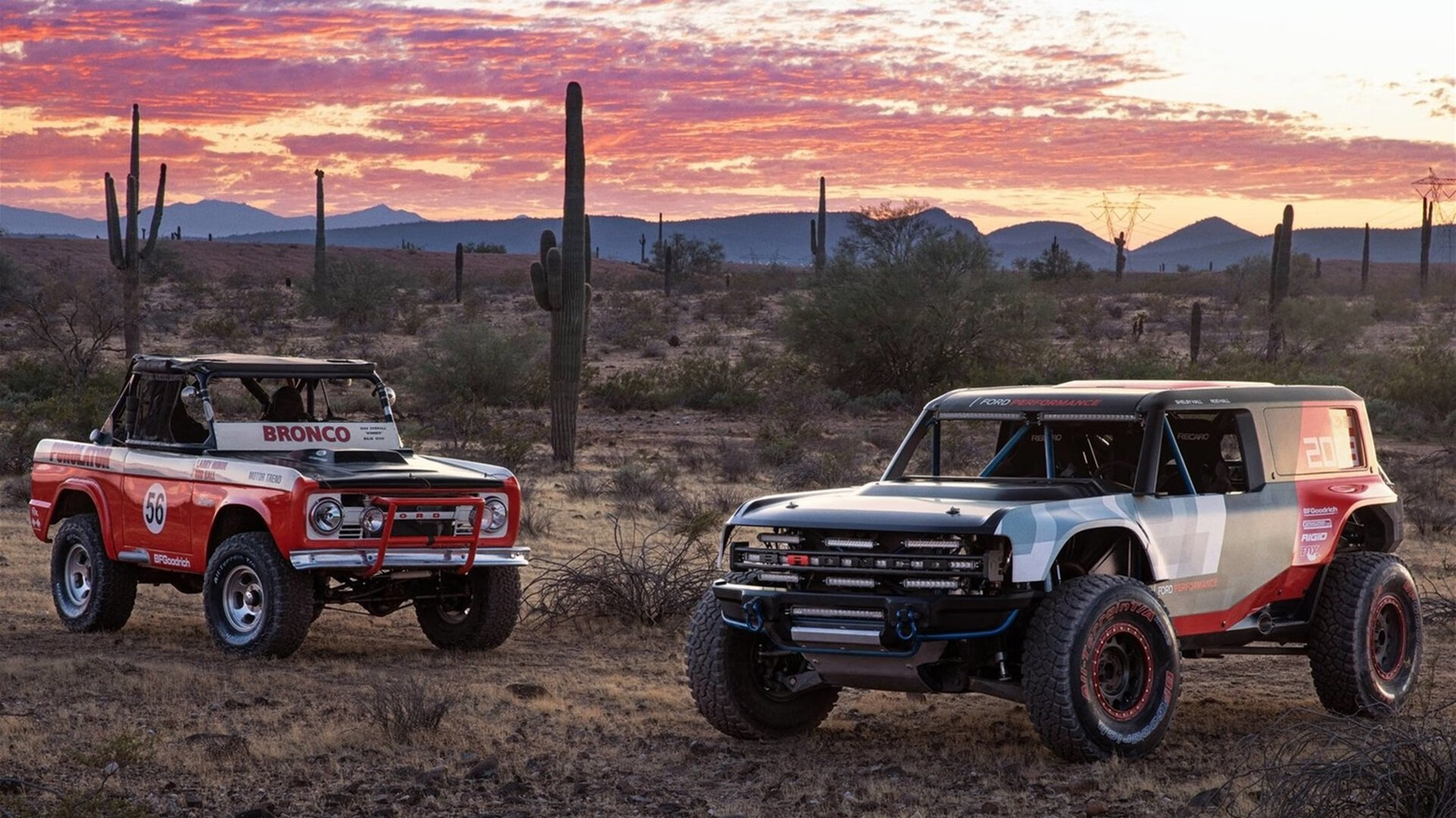 狼王长啸难敌纽约铁阵,当个人天赋撞上团队利刃