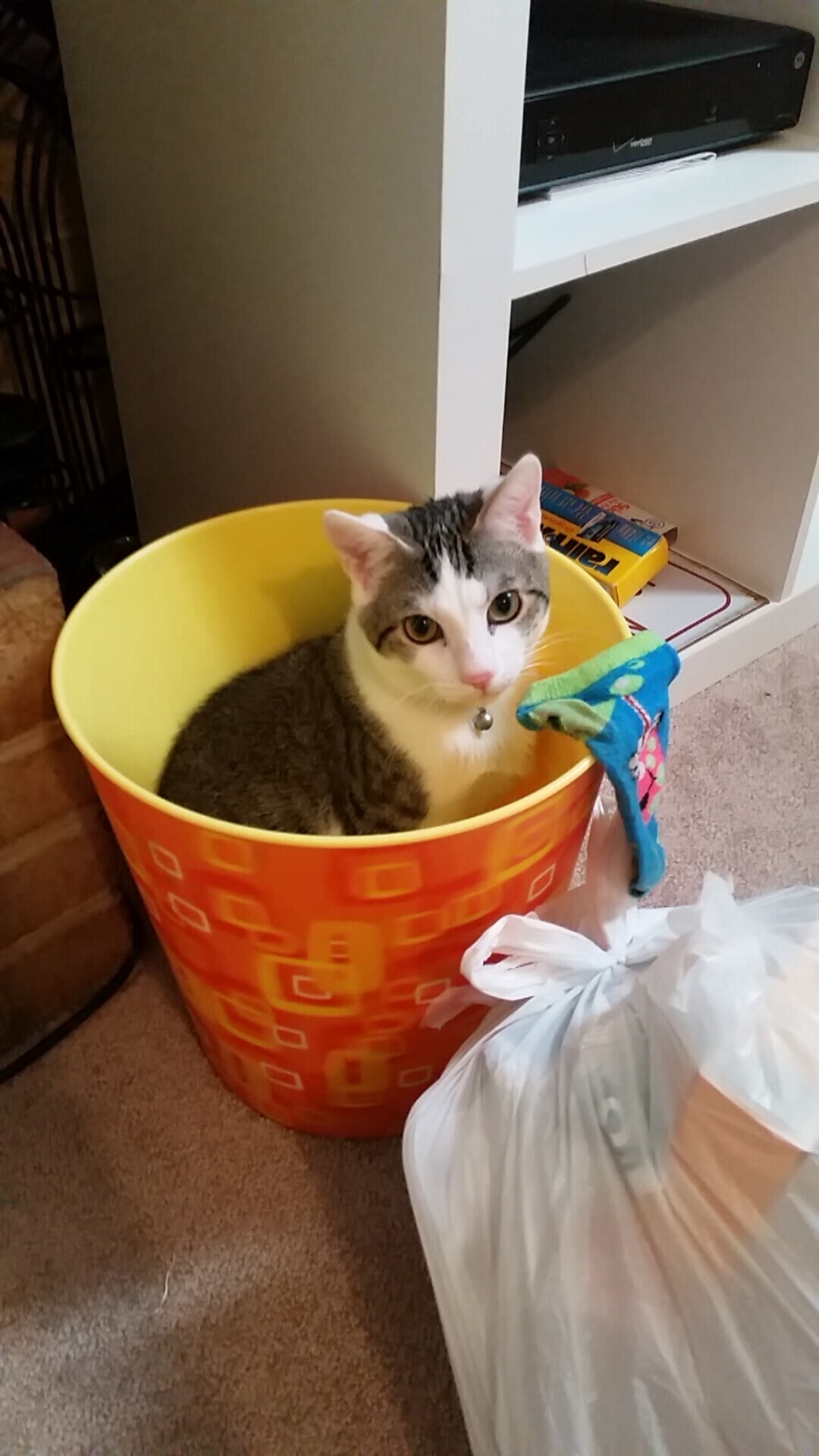 公牛强势晋级雷霆,恩比德关键先生闪耀季后赛