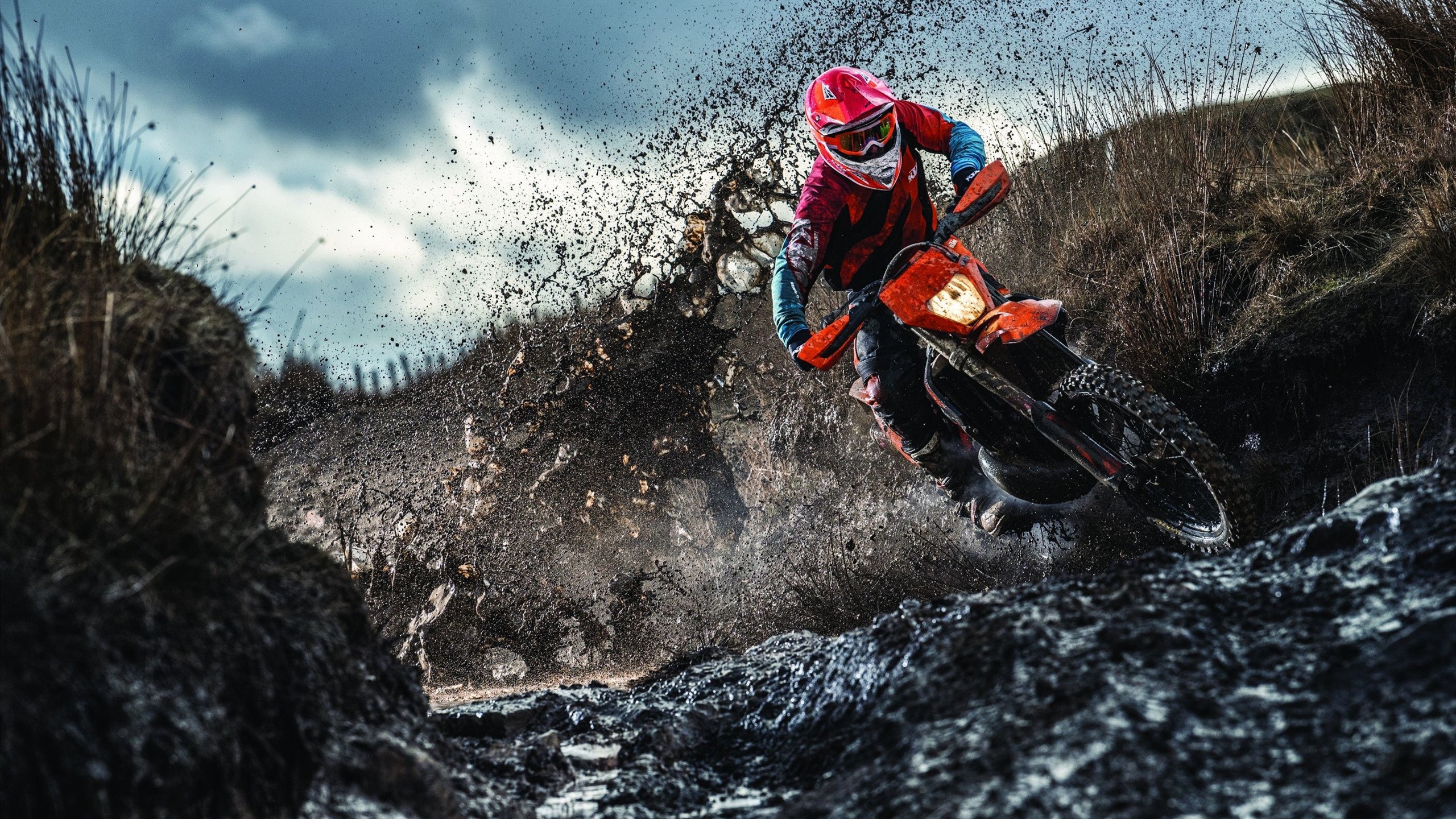 篮球场上的引擎轰鸣，凯尔特人火力压制黄蜂，东契奇如F1车手般接管年度争冠