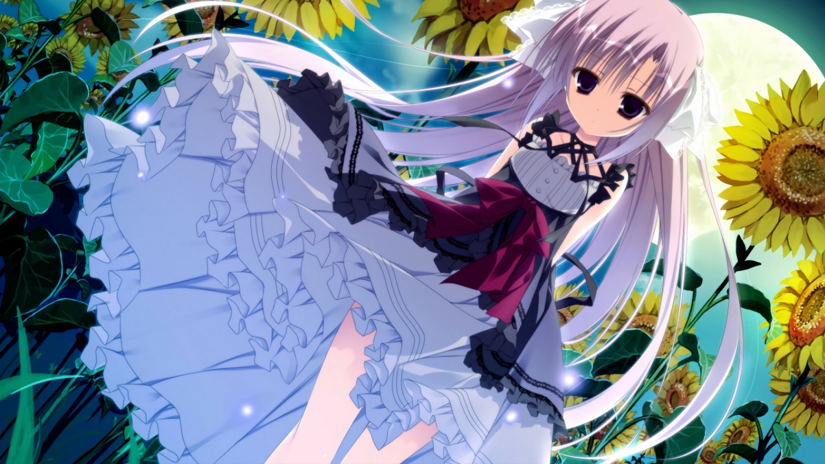 pg电子-硬仗铸就真金，比利时苦战破厄瓜多尔，戈麦斯终成关键先生