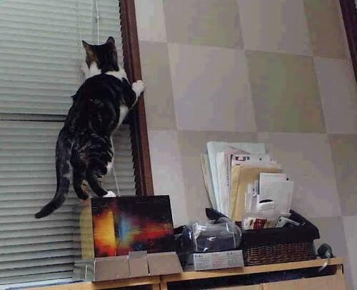 pg电子模拟器试玩在线-破局者弗拉霍维奇，一记重炮轰开迷雾，宣告新王当立