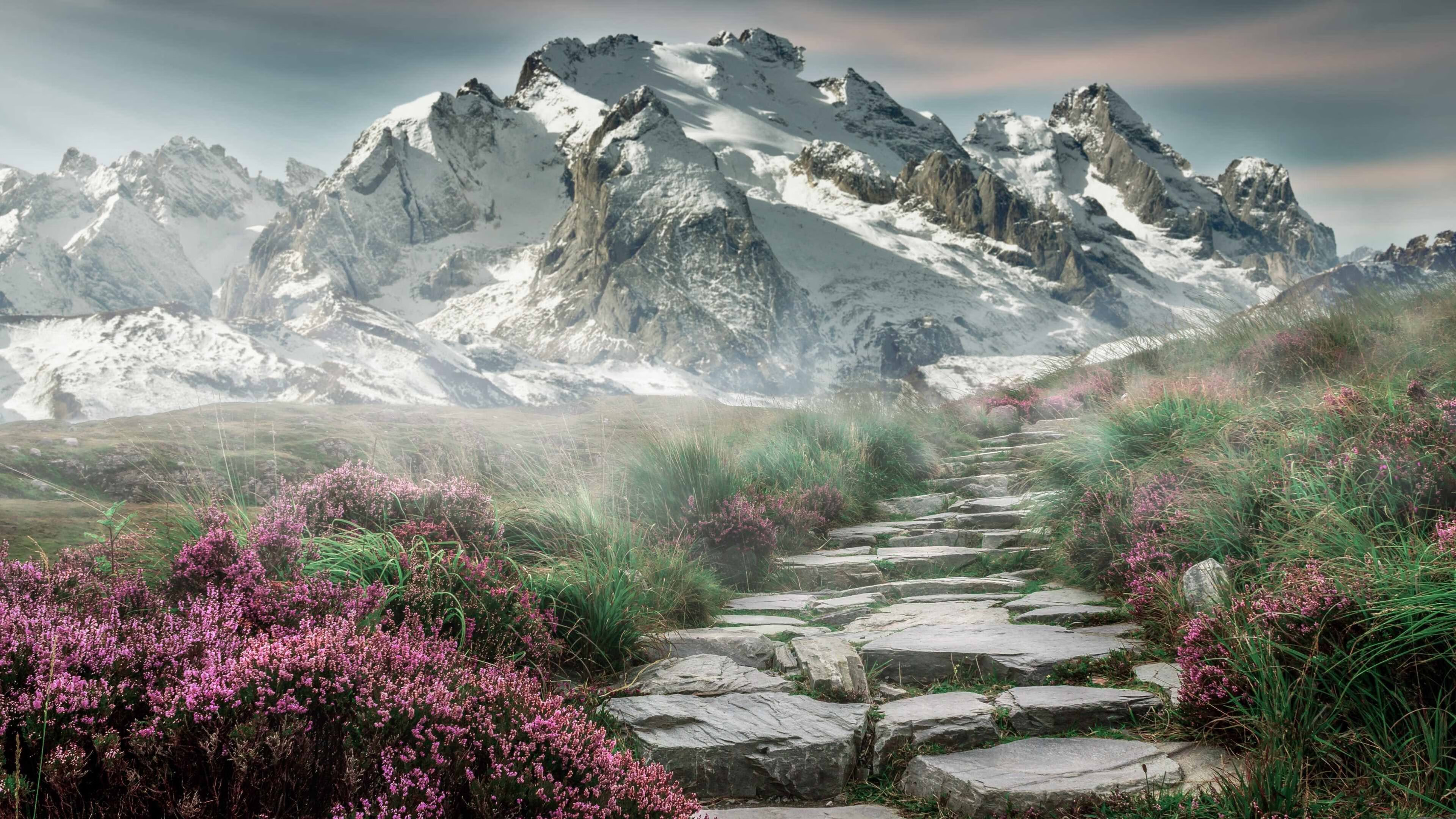 pg电子试玩网-德罗赞生涯总得分突破20000分大关，公牛客场力克开拓者迎关键胜利