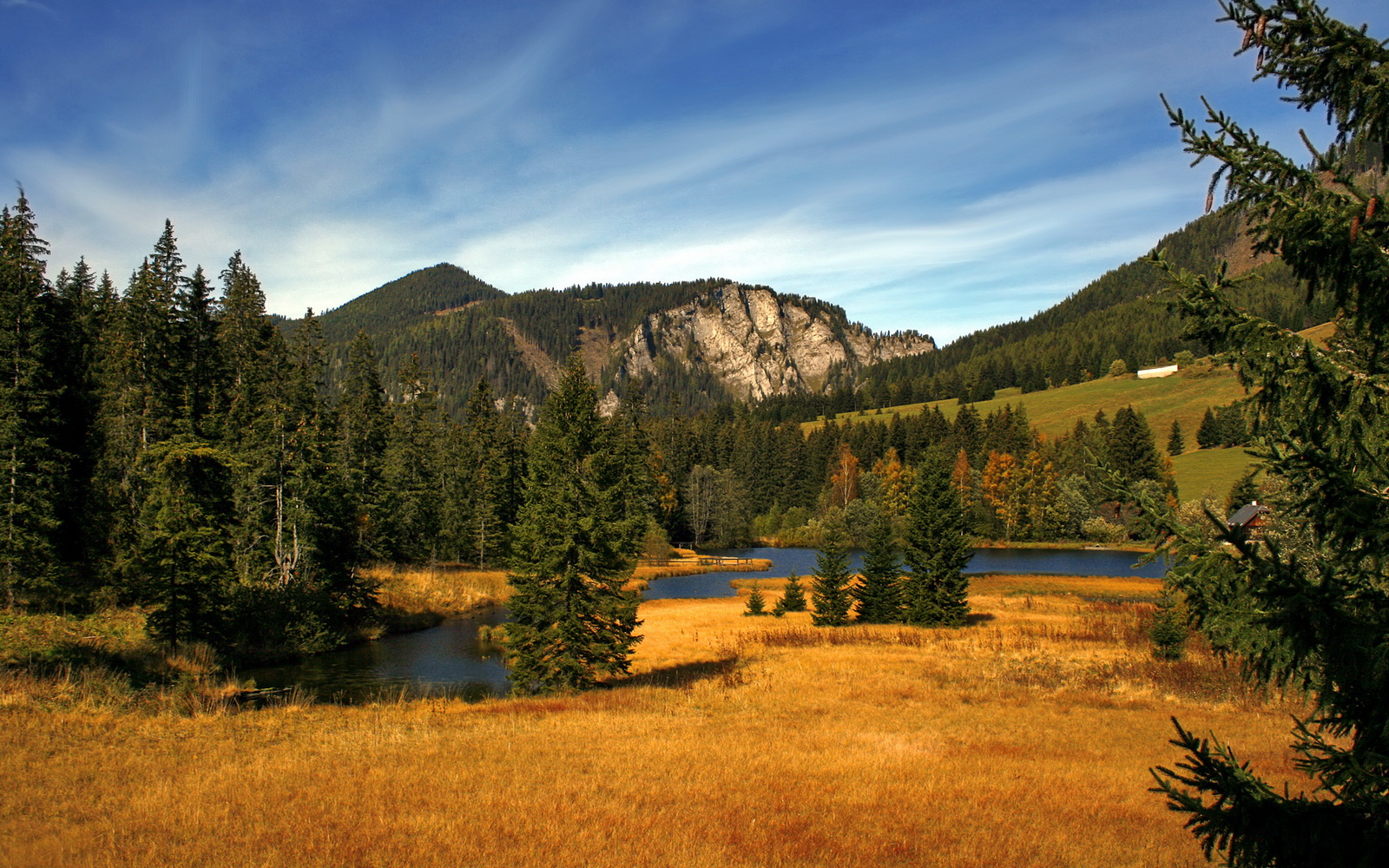 开门见红，当极致速度碰撞智慧战术