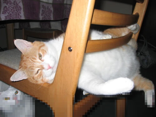 勇士强行终结奇才，小贾伦统治全场却难挽败局