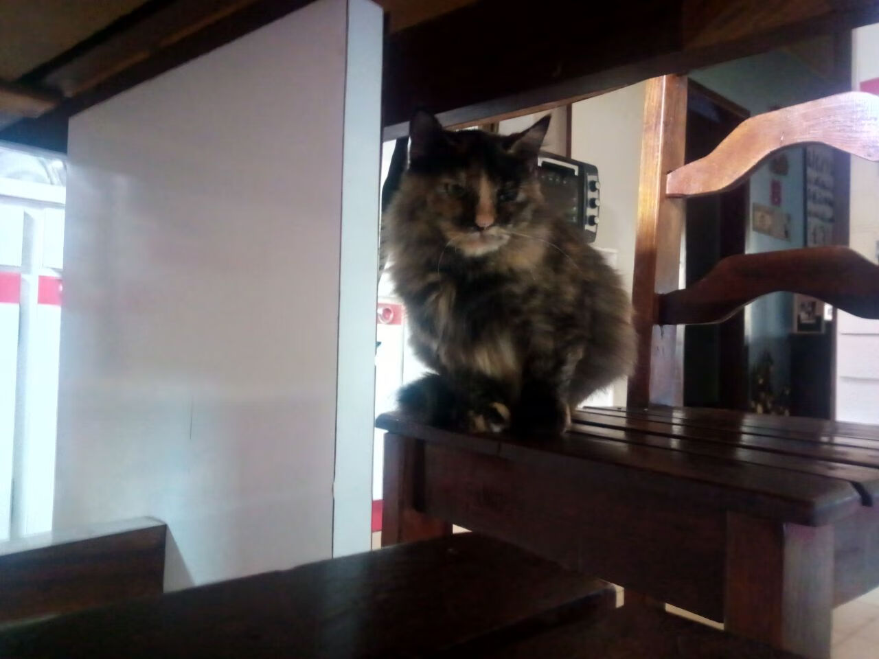 铁血奇才狂胜三巨太阳，恩比德关键时刻一柱擎天