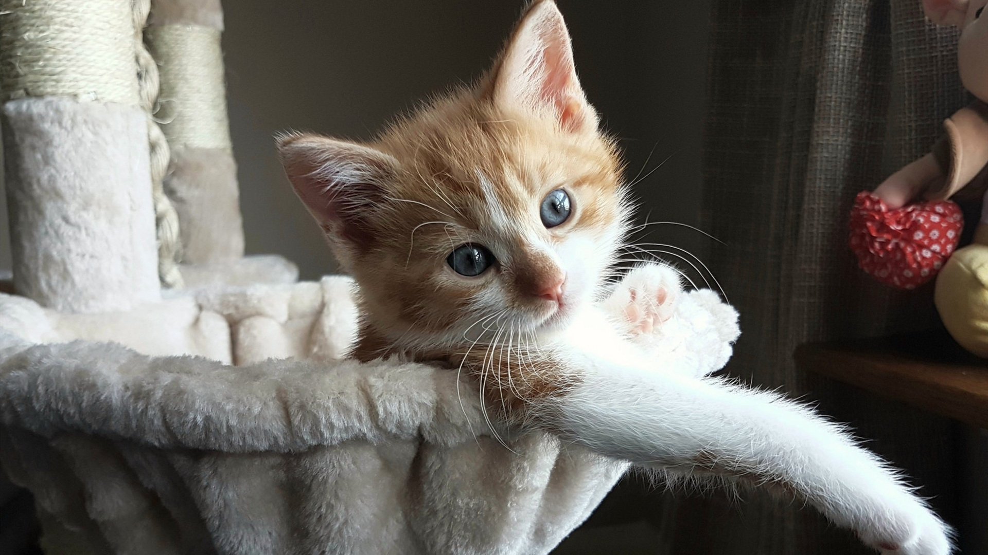 数据、奔跑与智慧，当足球的英雄时代悄然退潮