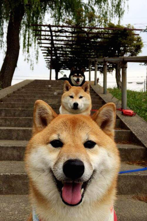 pg电子试玩网站-刀锋上的华尔兹，罗德里戈一剑封喉，克罗地亚的战术织网如何绞碎欧洲红魔？