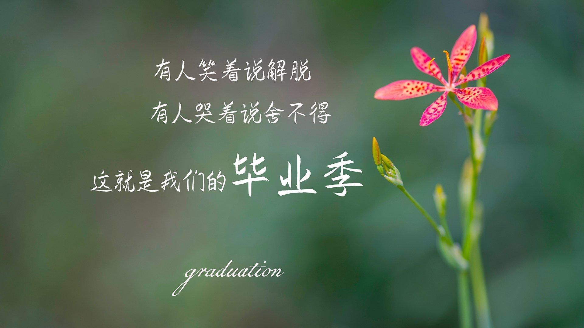 pg电子游戏-恒河之蓝对决高卢雄鸡，费利克斯一锤定音，印度爆冷绝杀法国震惊世界