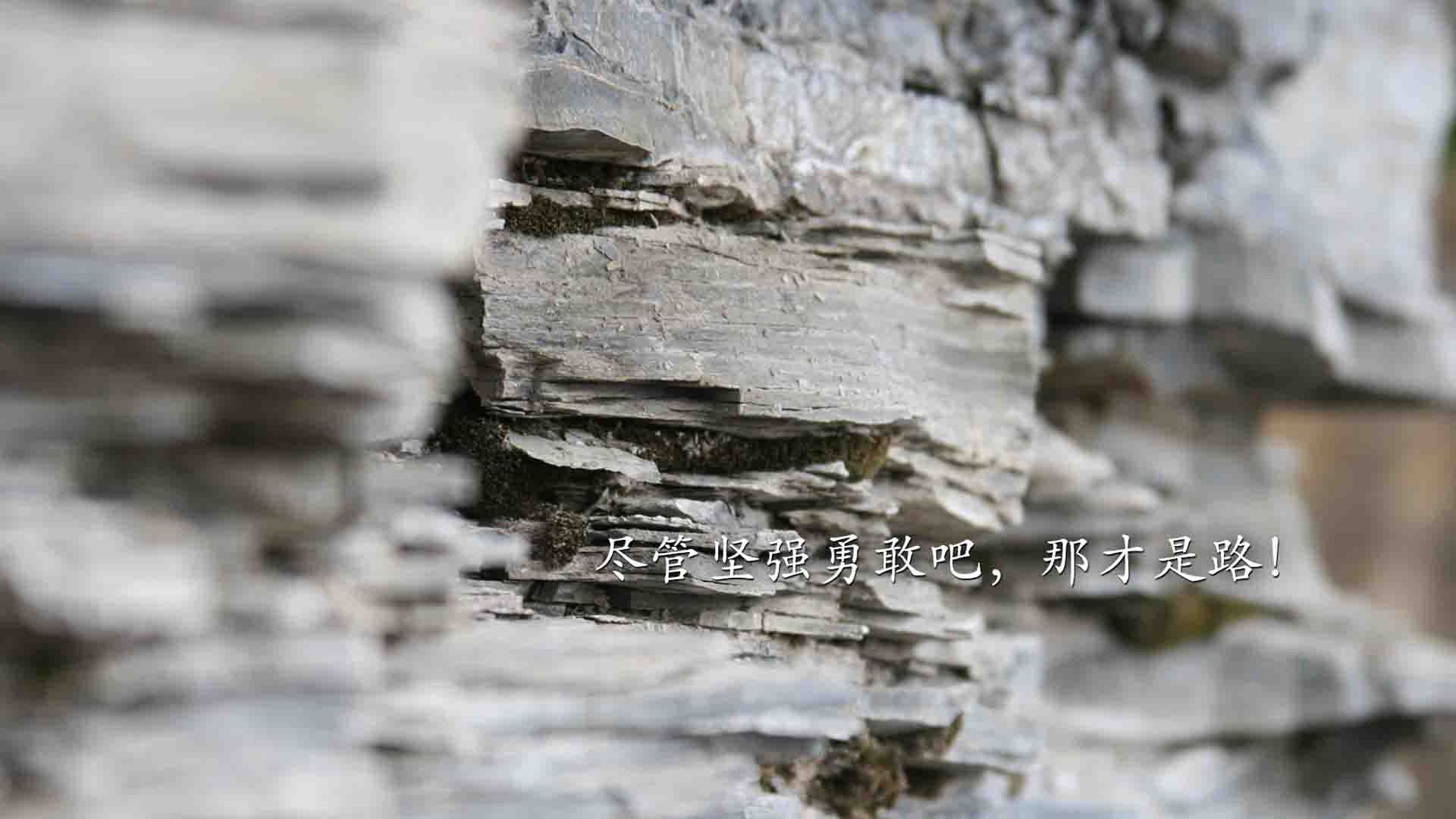 -南美铁骑踏破高卢雄鸡，乌拉圭2026世界杯D组力克法国，吉鲁孤掌难鸣
